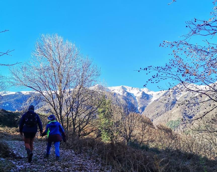 Maison 13 Pers A 10Mn De Luchon Cazaux-Layrisse Buitenkant foto