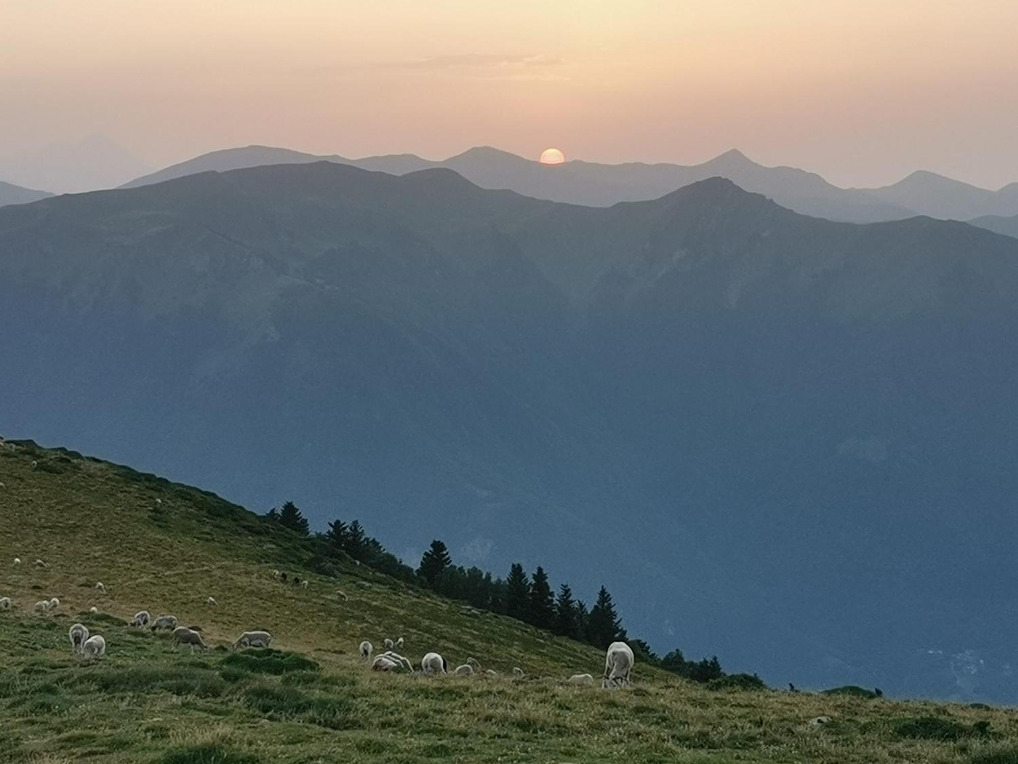 Maison 13 Pers A 10Mn De Luchon Cazaux-Layrisse Buitenkant foto